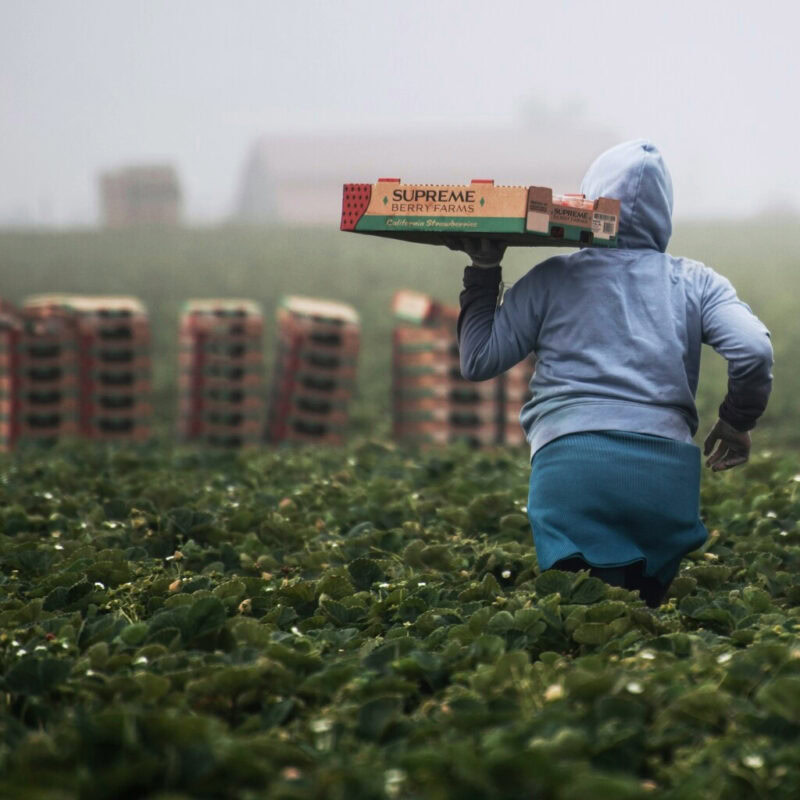 Primo maggio, Festa del lavoro. La Costituzione tra questione sociale e democrazia
